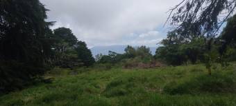 Farm with view, Concepcion de San Isidro de Heredia 5.5 acres
