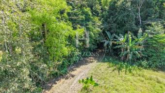 Terreno en Venta en Quebrada Ganado con Uso de Suelo Turístico, Comercial y Residencial 8,