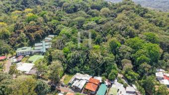 Terreno en Venta en Quebrada Ganado con Uso de Suelo Turístico, Comercial y Residencial 8,