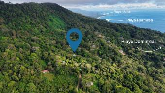 Home for sale in Escaleras Bahía Ballena Dominicalito Infinite Pool and Panoramic Views nj