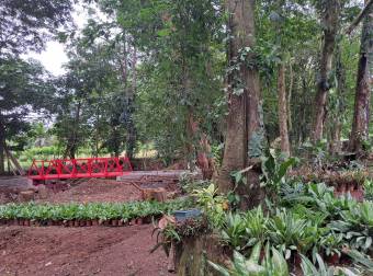 Venta Casa Santuario Azul Sarapiquí Venta Casa Santuario Azul Sarapiquí