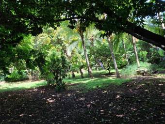 Venta de linda propirdad tipo quinta ubicada en la garita Alajuela 25-1298