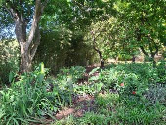 Venta de linda propirdad tipo quinta ubicada en la garita Alajuela 25-1298