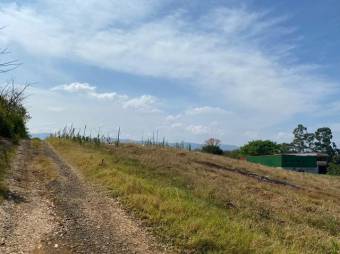 Venta de inmenso terreno de 25900 M2 en zona industrial la Guacima 26-389