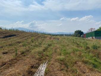 Venta de inmenso terreno de 25900 M2 en zona industrial la Guacima 26-389
