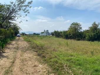 Venta de inmenso terreno de 25900 M2 en zona industrial la Guacima 26-389