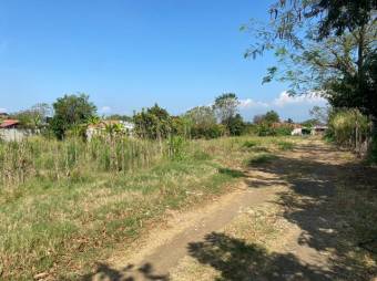 Venta de inmenso terreno de 25900 M2 en zona industrial la Guacima 26-389