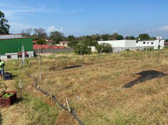 Venta de inmenso terreno de 25900 M2 en zona industrial la Guacima 26-389