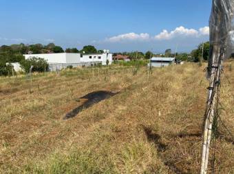 Venta de inmenso terreno de 25900 M2 en zona industrial la Guacima 26-389