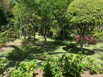 Venta de propiedad mas casa ideal para desarrollo en Sta Ana 26-388