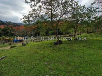 MLS-26-1444 LS VENTA FINCA MURCIA TURRIALBA CONTACTENOS AL # 86127562