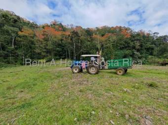 MLS-26-1444 LS VENTA FINCA MURCIA TURRIALBA CONTACTENOS AL # 86127562