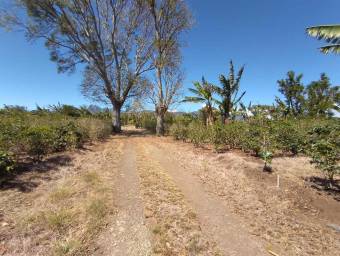 Se vende lote en Santo Domingo Heredia 25-438