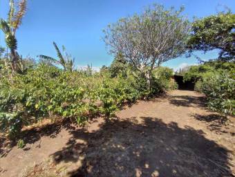 Se vende lote en Santo Domingo Heredia 25-438