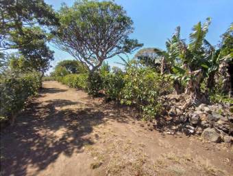 Se vende lote en Santo Domingo Heredia 25-438