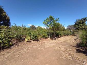 Se vende lote en Santo Domingo Heredia 25-438