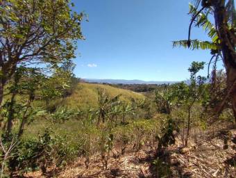 Se vende lote en Santo Domingo Heredia 25-438