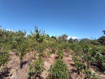Se vende lote en Santo Domingo Heredia 25-438