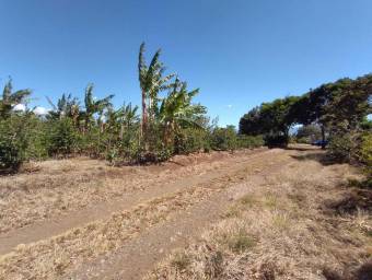 Se vende lote en Santo Domingo Heredia 25-438