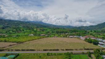 Paraíso Cartago; Inversión Unica Lote Ideal para Desarrollo Uso de Suelo Comercial – Paraíso Cartago; Inversión Unica Lote Ideal para Desarrollo Uso de Suelo Comercial –