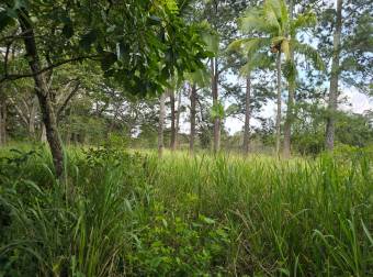 VENTA DE TERRENO EN RESIDENCIAL MONTISEL, LA GARITA DE ALAJUELA
