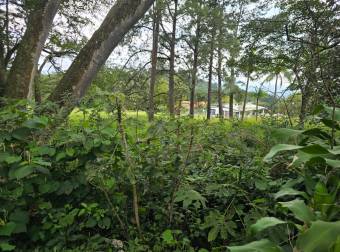 VENTA DE TERRENO EN RESIDENCIAL MONTISEL, LA GARITA DE ALAJUELA