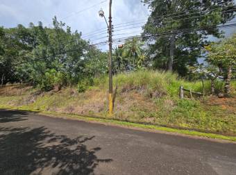 VENTA DE TERRENO EN RESIDENCIAL MONTISEL, LA GARITA DE ALAJUELA