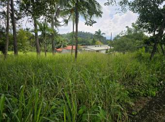VENTA DE TERRENO EN RESIDENCIAL MONTISEL, LA GARITA DE ALAJUELA