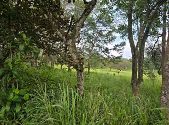 VENTA DE TERRENO EN RESIDENCIAL MONTISEL, LA GARITA DE ALAJUELA