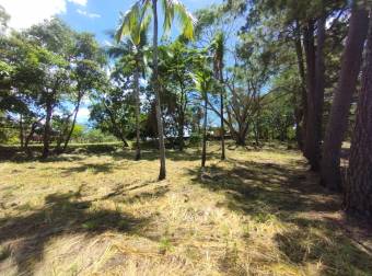VENTA DE TERRENO EN RESIDENCIAL MONTISEL, LA GARITA DE ALAJUELA