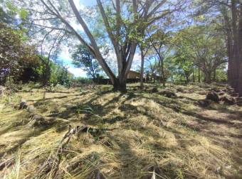 VENTA DE TERRENO EN RESIDENCIAL MONTISEL, LA GARITA DE ALAJUELA