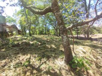 VENTA DE TERRENO EN RESIDENCIAL MONTISEL, LA GARITA DE ALAJUELA