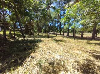 VENTA DE TERRENO EN RESIDENCIAL MONTISEL, LA GARITA DE ALAJUELA