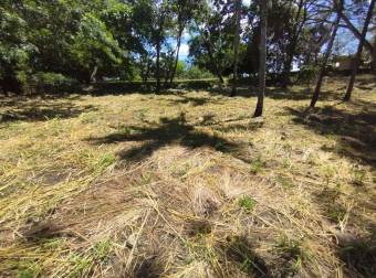VENTA DE TERRENO EN RESIDENCIAL MONTISEL, LA GARITA DE ALAJUELA