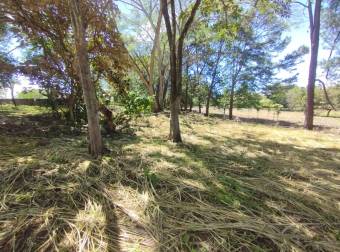 VENTA DE TERRENO EN RESIDENCIAL MONTISEL, LA GARITA DE ALAJUELA