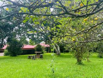 Venta de Casa en San Rafael-Ángeles, Heredia. RAH 26-647