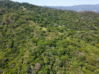 Venta de Lote en Mora Colón, San José. RAH 25-1322 