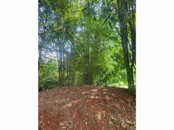 VENTA DE LOTES, ALAJUELA, TURRÚCARES - 9988165