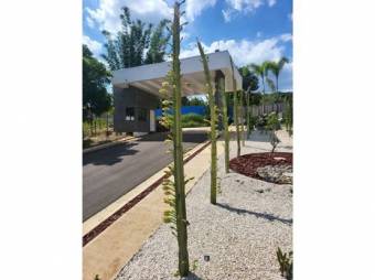 VENTA DE LOTES, ALAJUELA, TURRÚCARES - 9988165