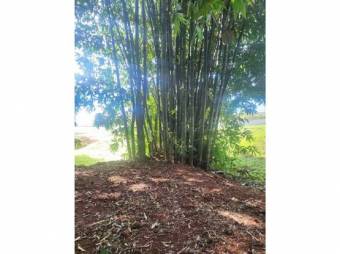 VENTA DE LOTES, ALAJUELA, TURRÚCARES - 9988165