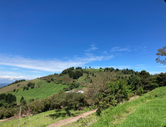 Finca en Venta en Zarcero Alajuela