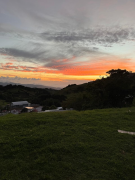 Finca en Venta en Zarcero Alajuela