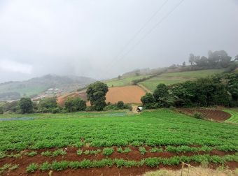 Finca en Venta en Zarcero Alajuela