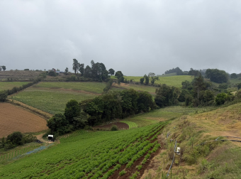 Finca en Venta en Zarcero Alajuela