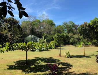 Finca con vivienda en venta en Coyolar de Orotina, Alajuela