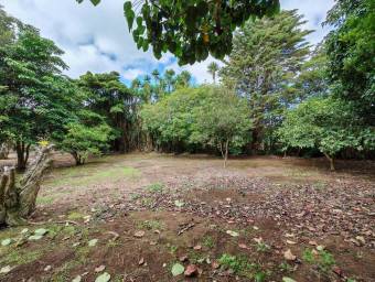 Se vende lote en San Rafael #25-1922