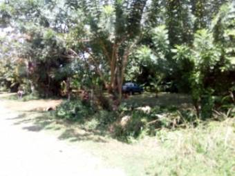 Nice Lot in Uvita centre in front of paved road