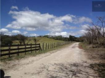 V#210 Maravillosa Finca en Venta/Guanacaste