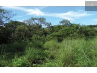 V#209 Esplendorosa Finca en Venta/Guanacaste