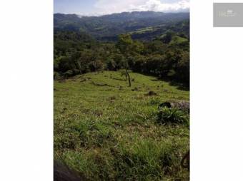 V#203 Majestuosa Finca en Venta para Inversión/Alajuela